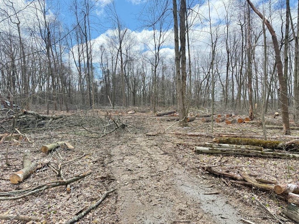 Picture 22