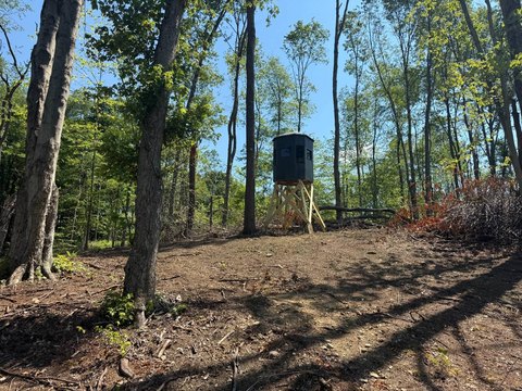 Recreational Hunting Land with Road Access