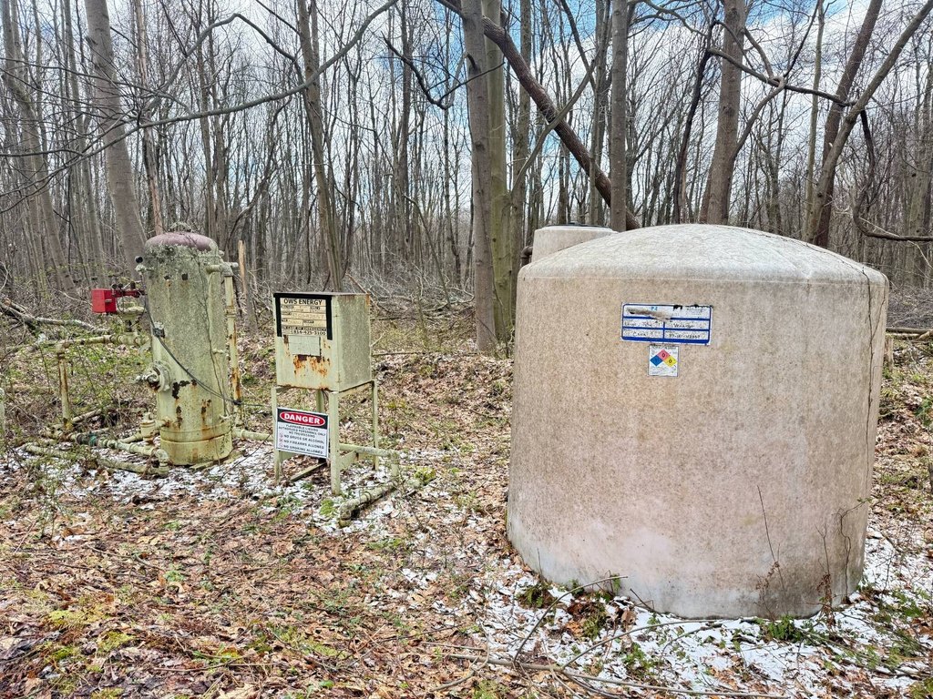 Picture 23