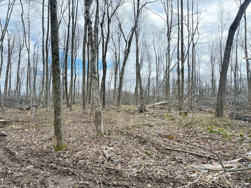 Picture 11