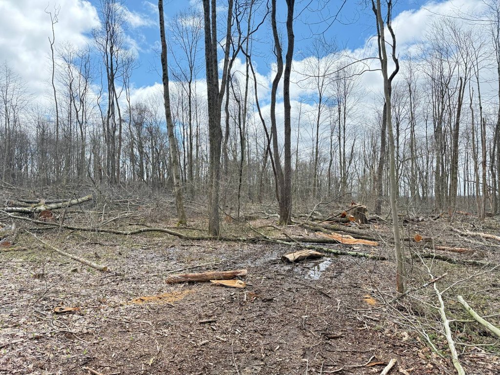 Picture 19