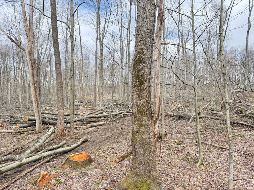 Picture 21