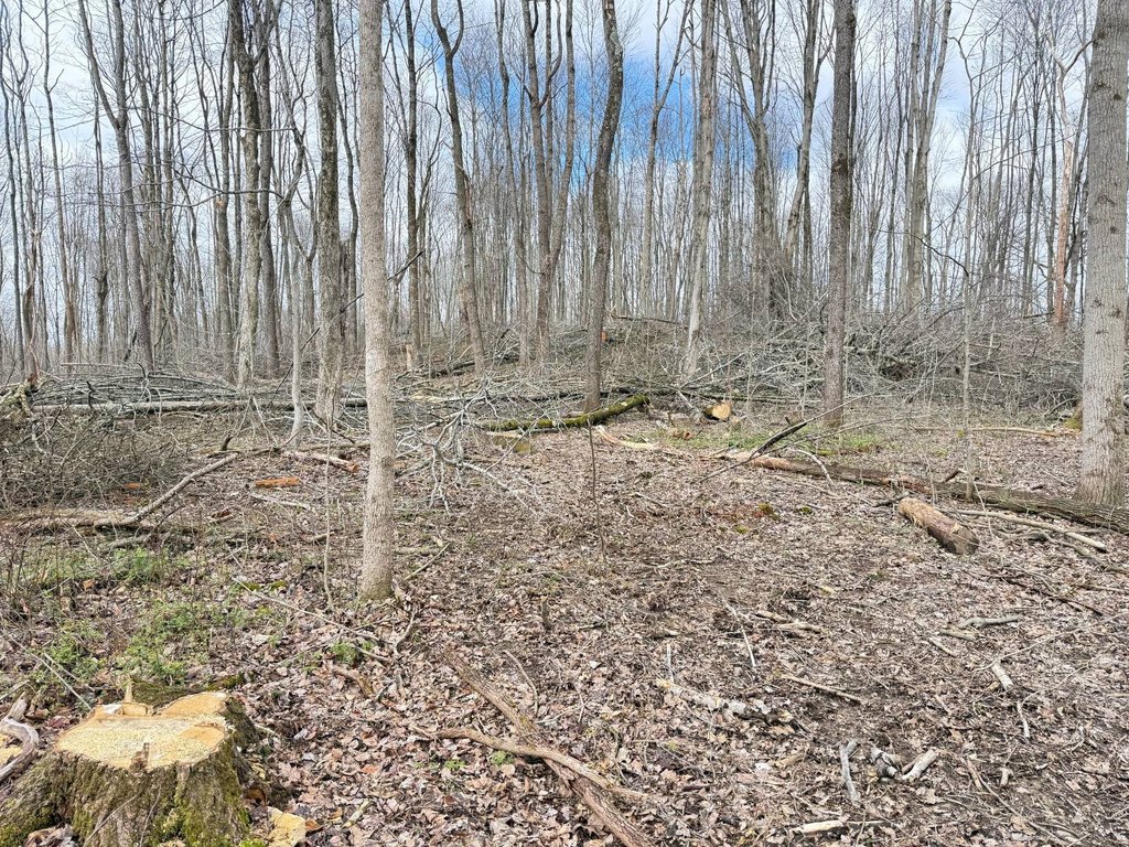 Picture 12