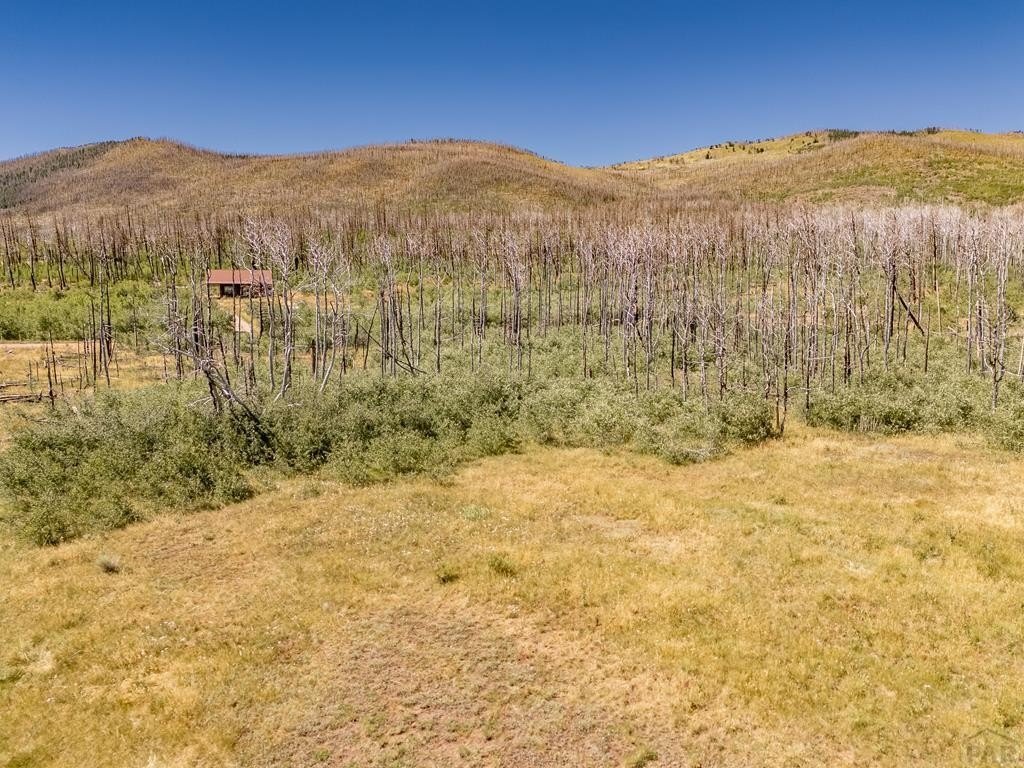 Forbes Park Land Opportunity