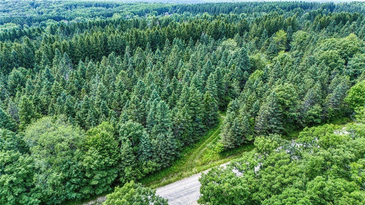 Branchport Wooded Lot with Well