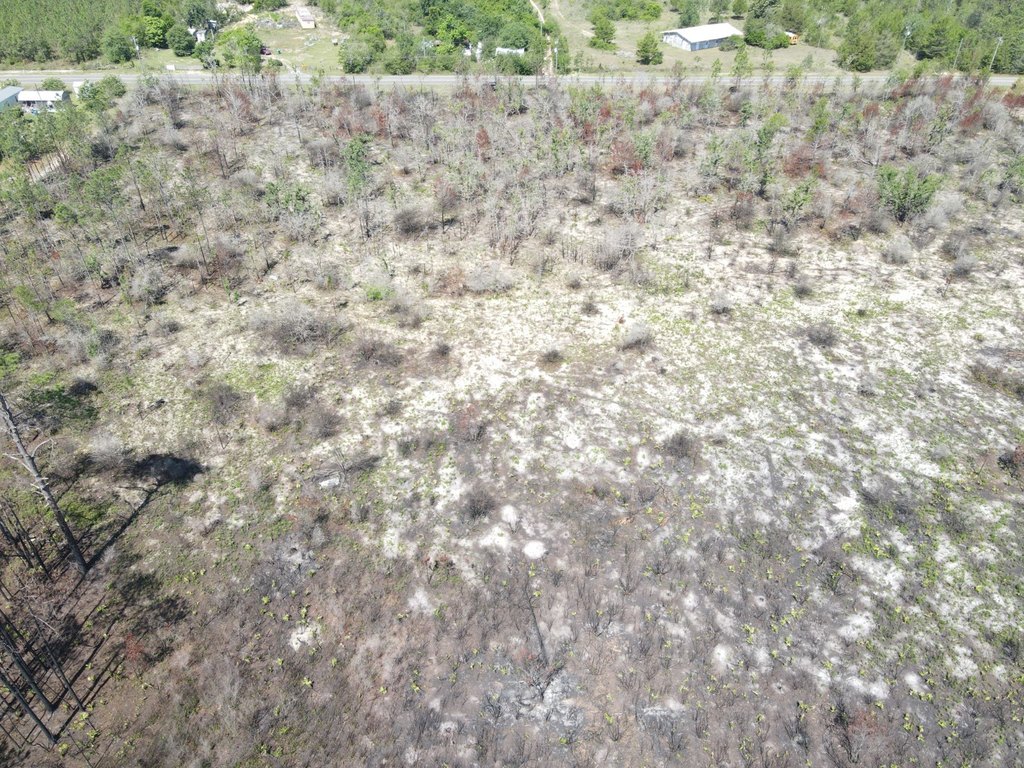 Picture 12