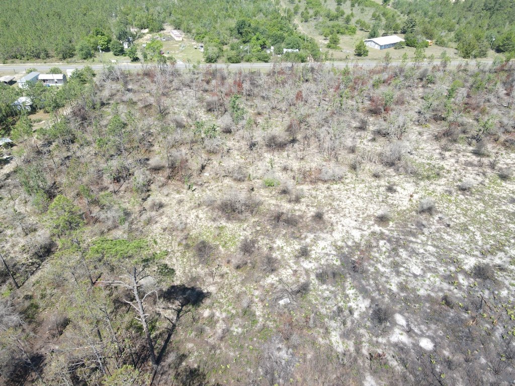 Picture 11