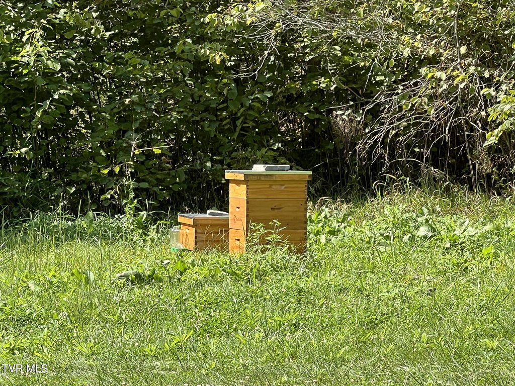 Picture 15