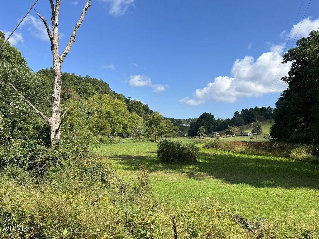 Picture 19