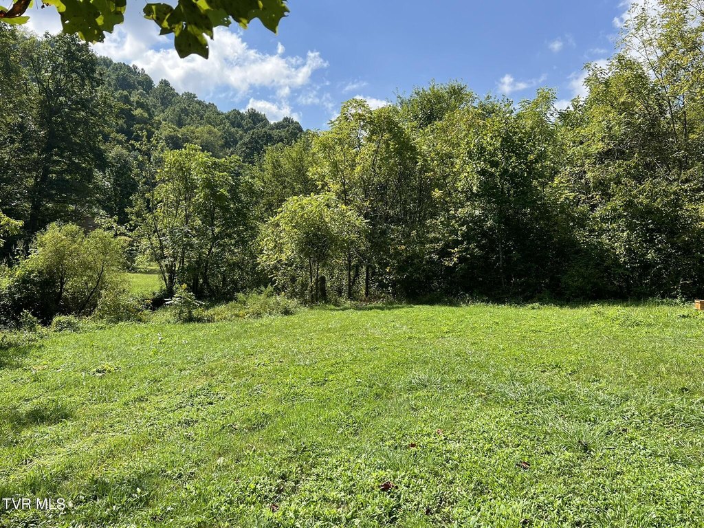 Picture 16