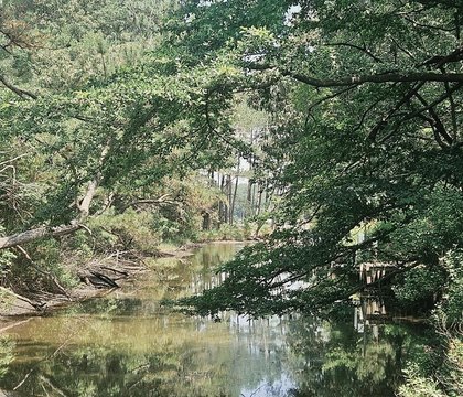LAND - ONANCOCK, VA