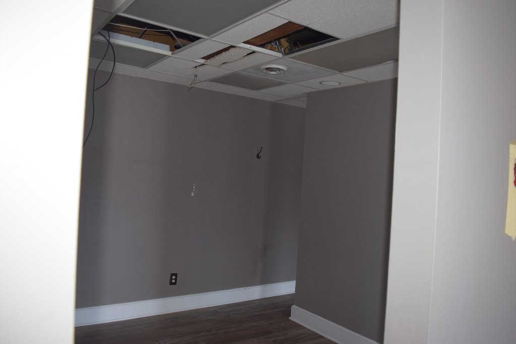 Picture 10