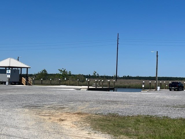 Picture 8