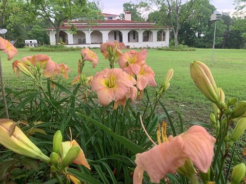 Spanish Villa on Fenced Acreage