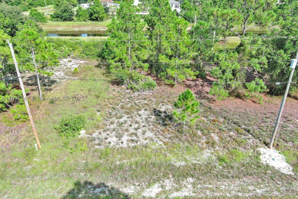 Picture 8