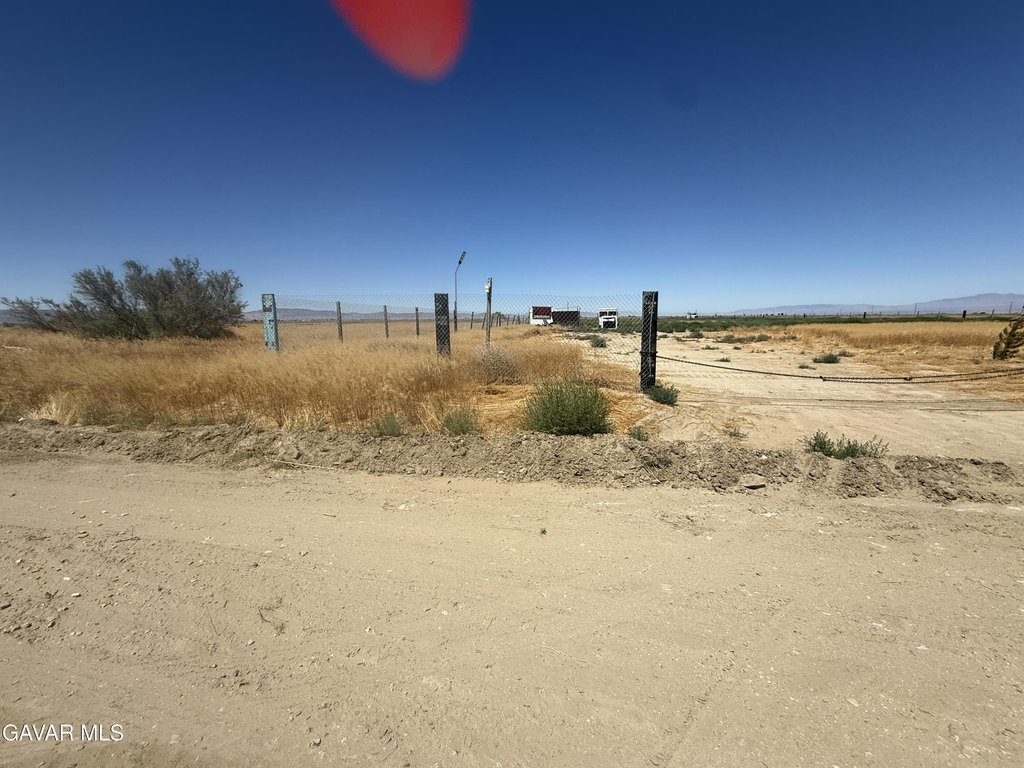 Picture 5