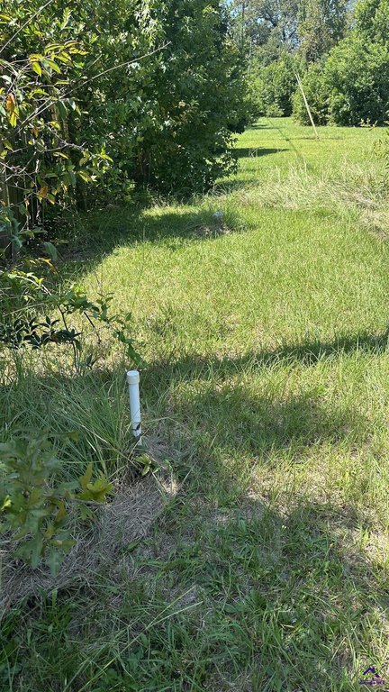 Picture 9
