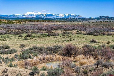 160 Acres of Land, Cortez