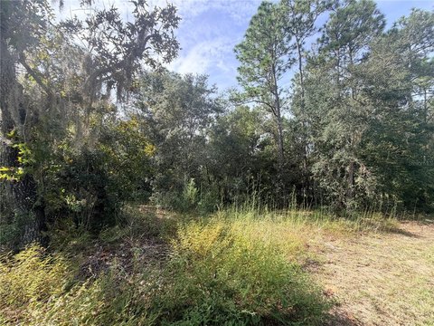 Land, INVERNESS, FL