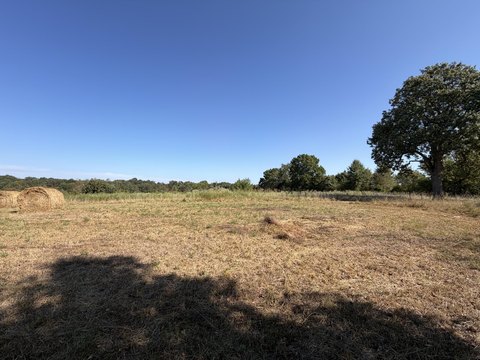 Land, Buffalo, MO