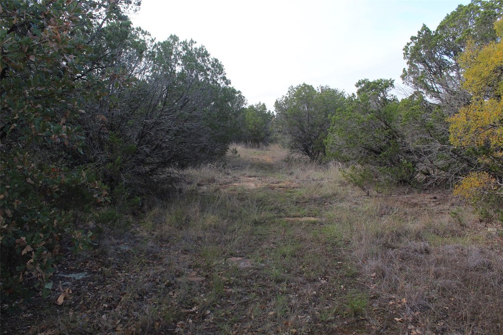 Picture 9