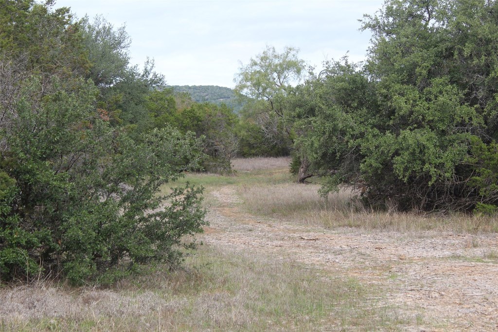 Picture 22