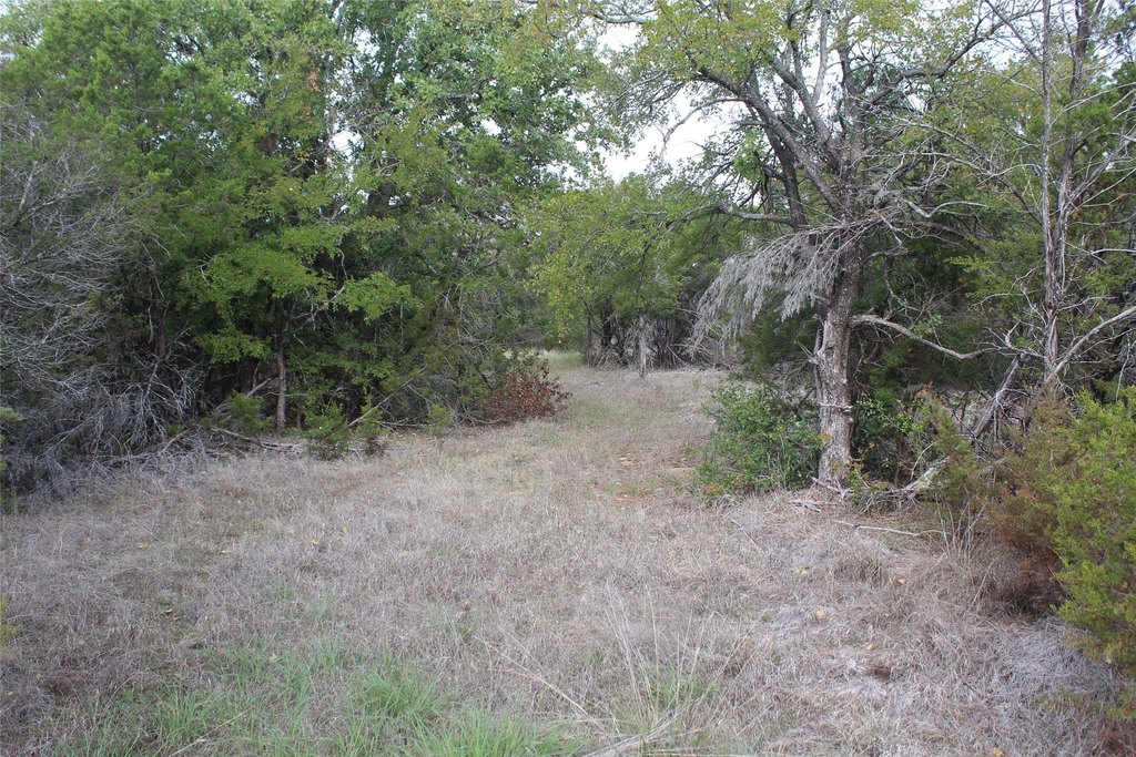 Picture 18