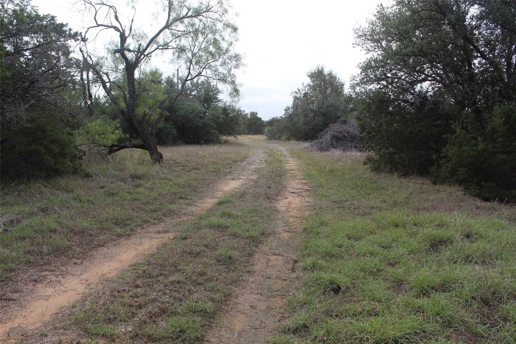 Picture 20