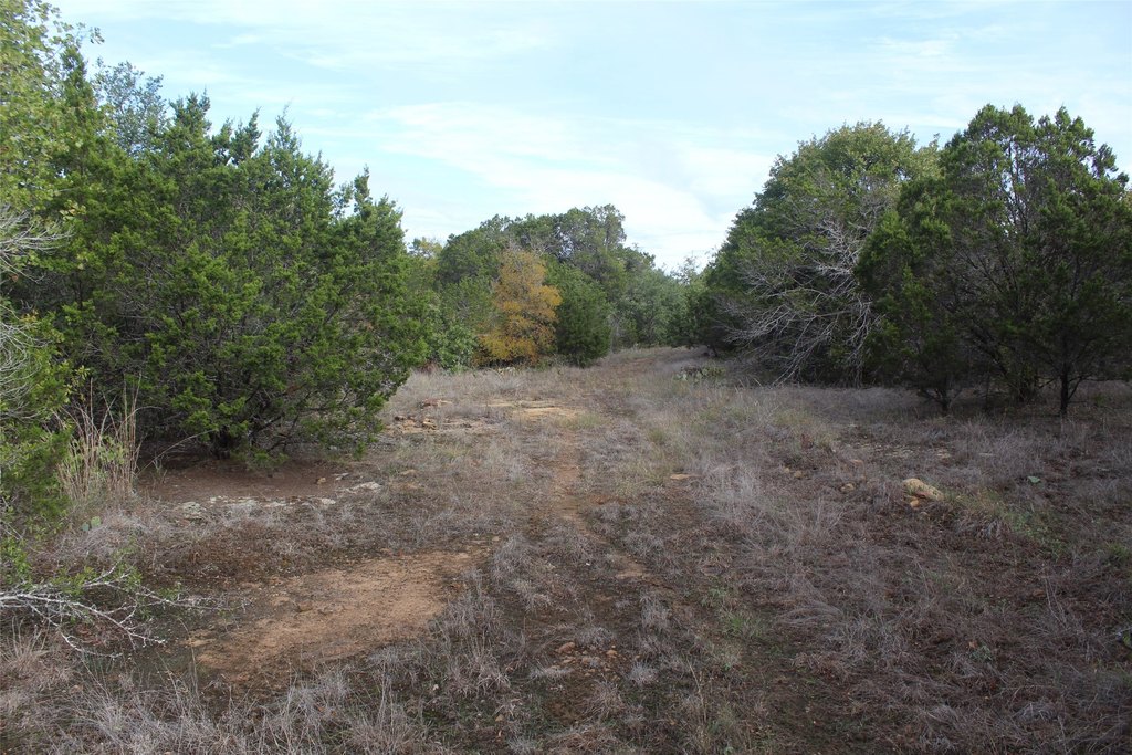 Picture 11