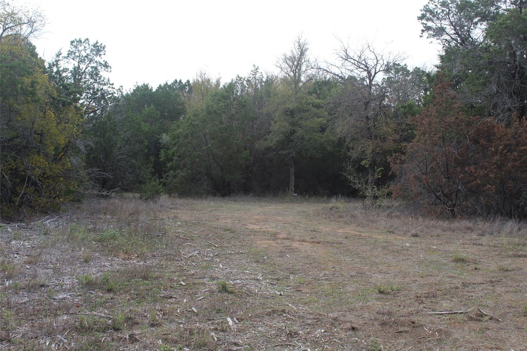 Picture 17