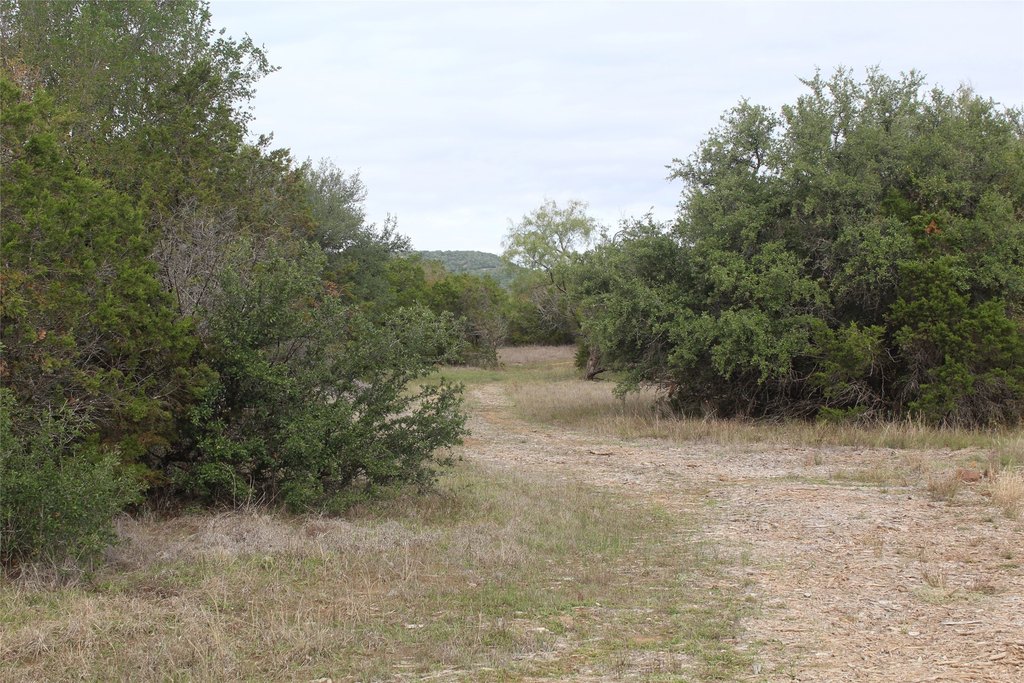 Picture 23