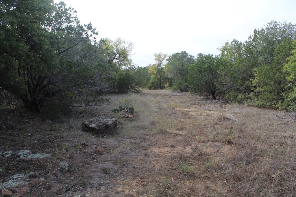 Picture 12