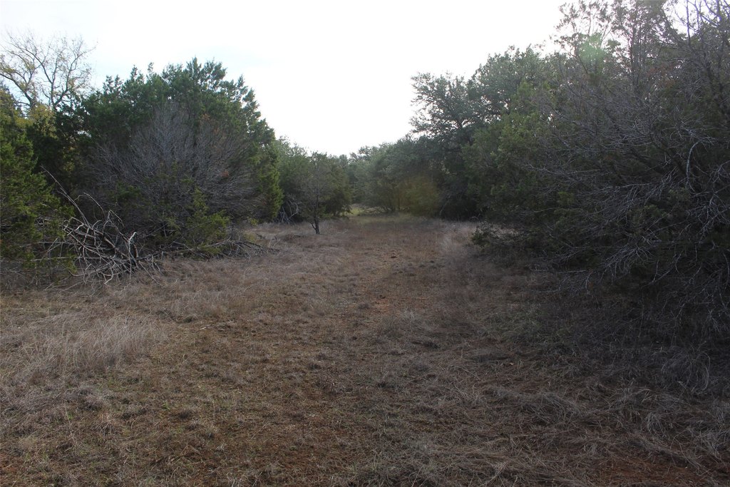Picture 8