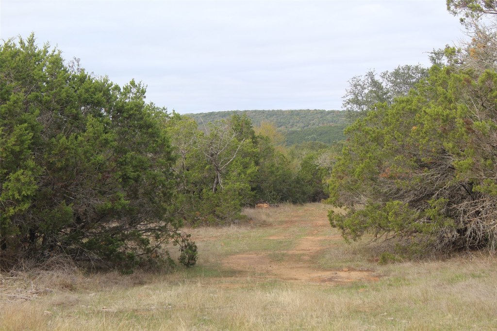 Picture 16