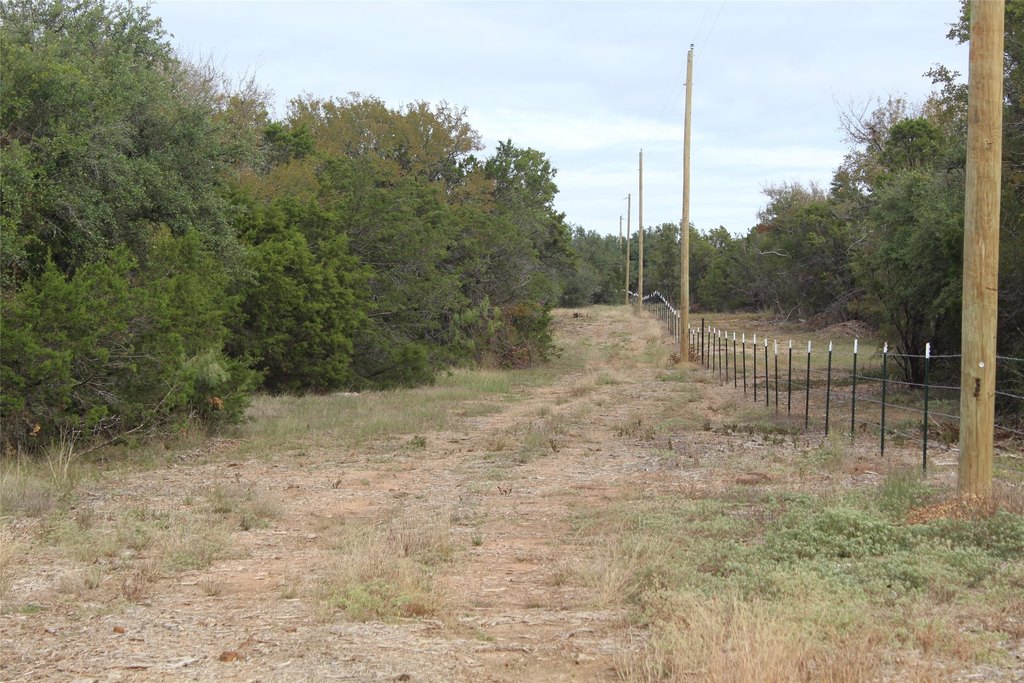 Picture 21