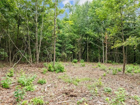 Heavily Wooded Recreational Land