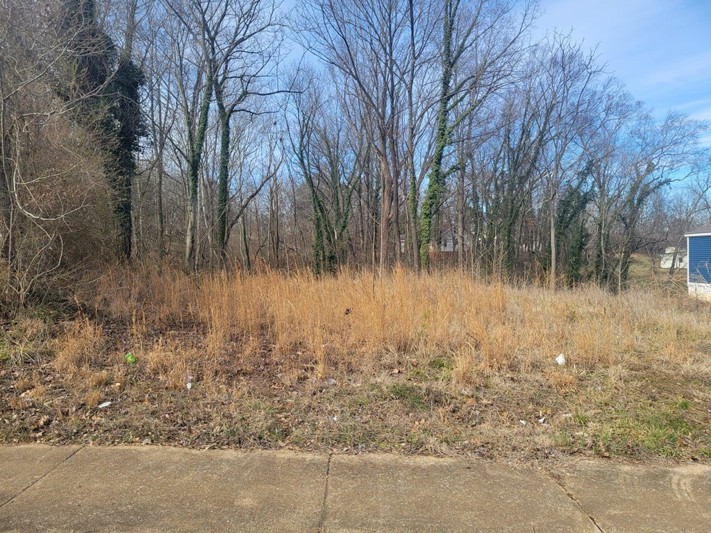 Picture 3