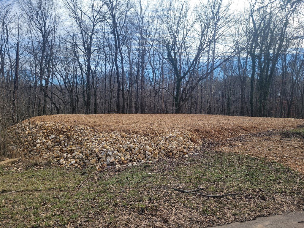 Picture 2