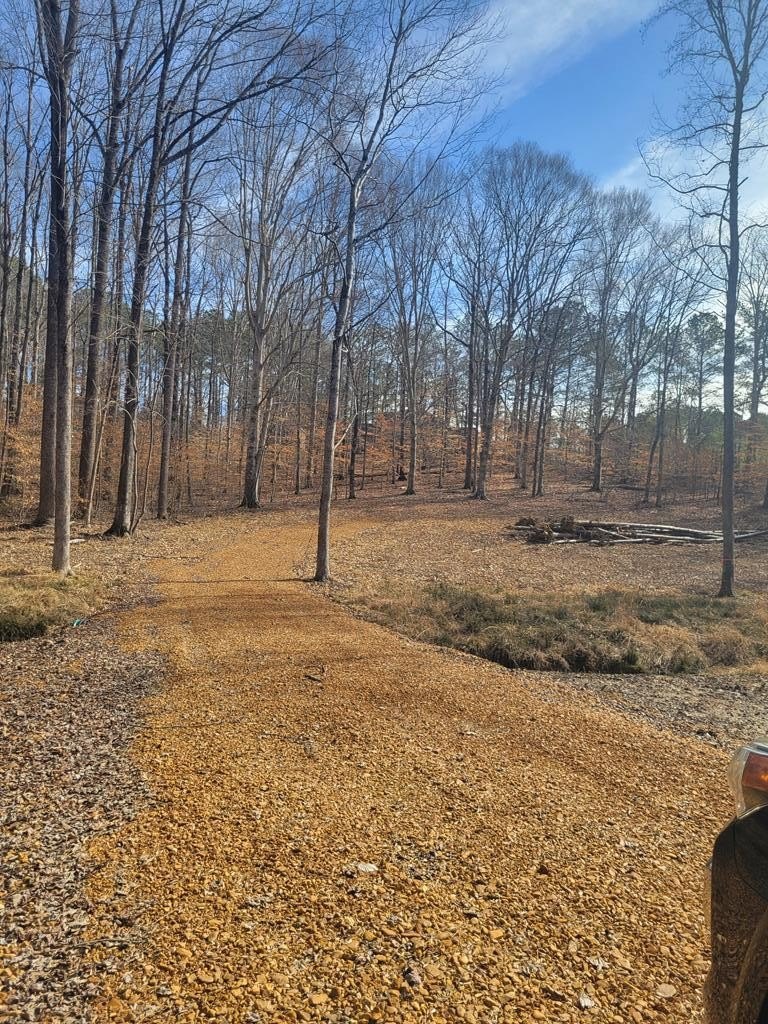 Vacant Land in Buchanan, TN