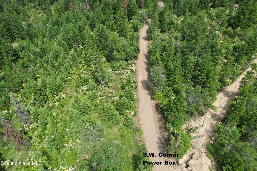 Picture 5
