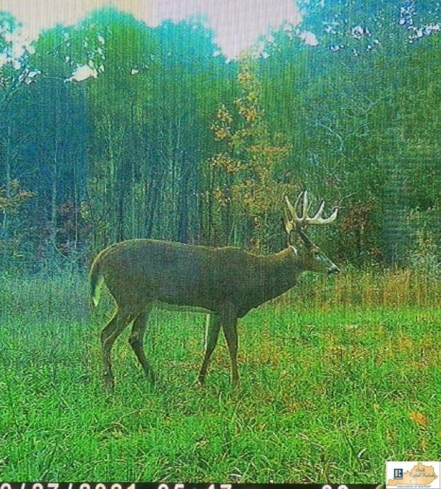 Picture 62