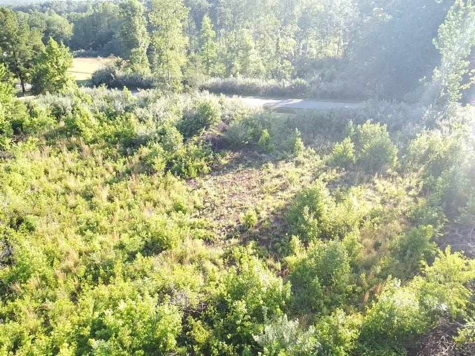 Picture 18