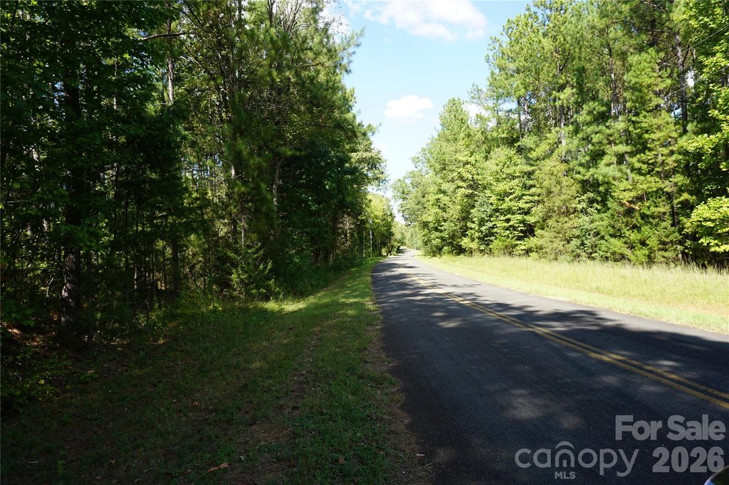 Picture 19