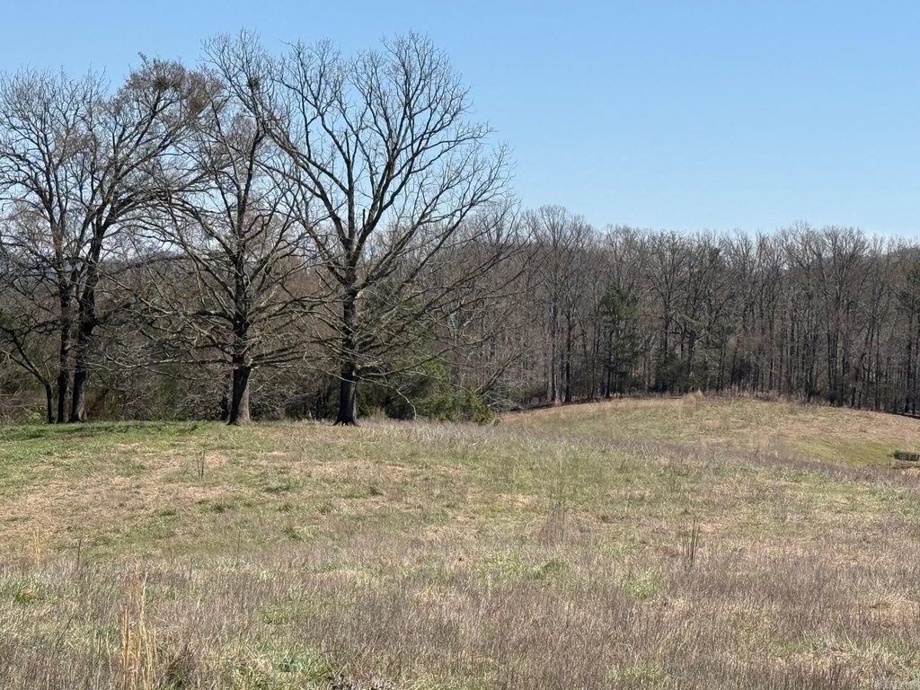 Picture 15