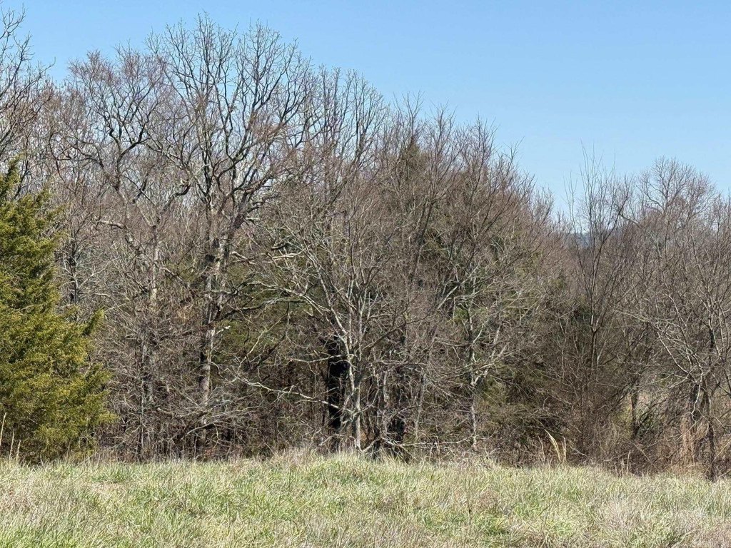 Picture 16