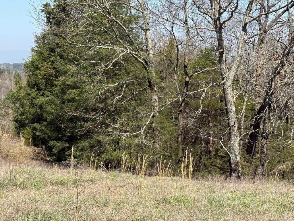 Picture 21