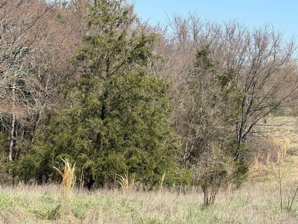 Picture 22