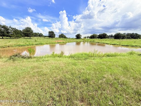 Land, Bogue Chitto, MS