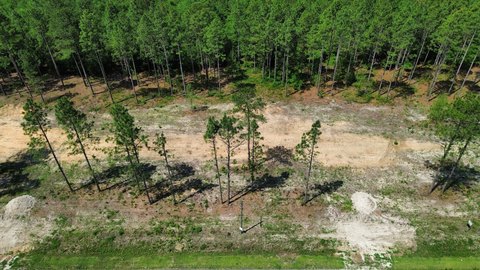 LAND - Harrells, NC