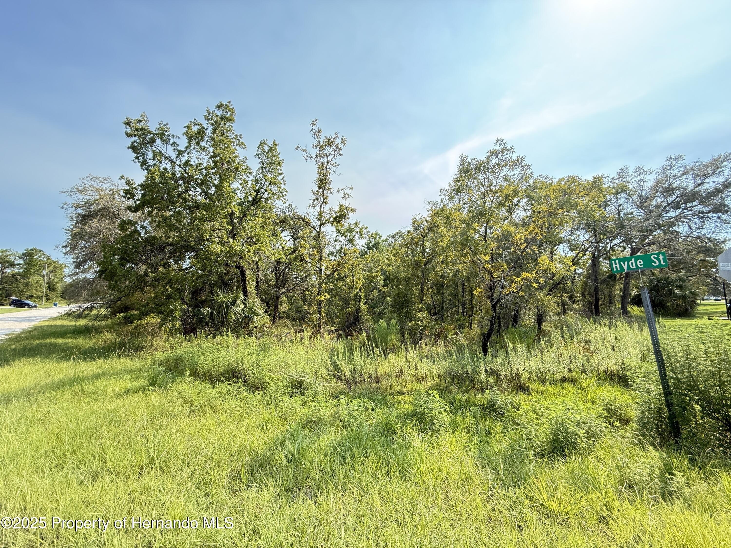 Residential Land in Weeki Wachee
